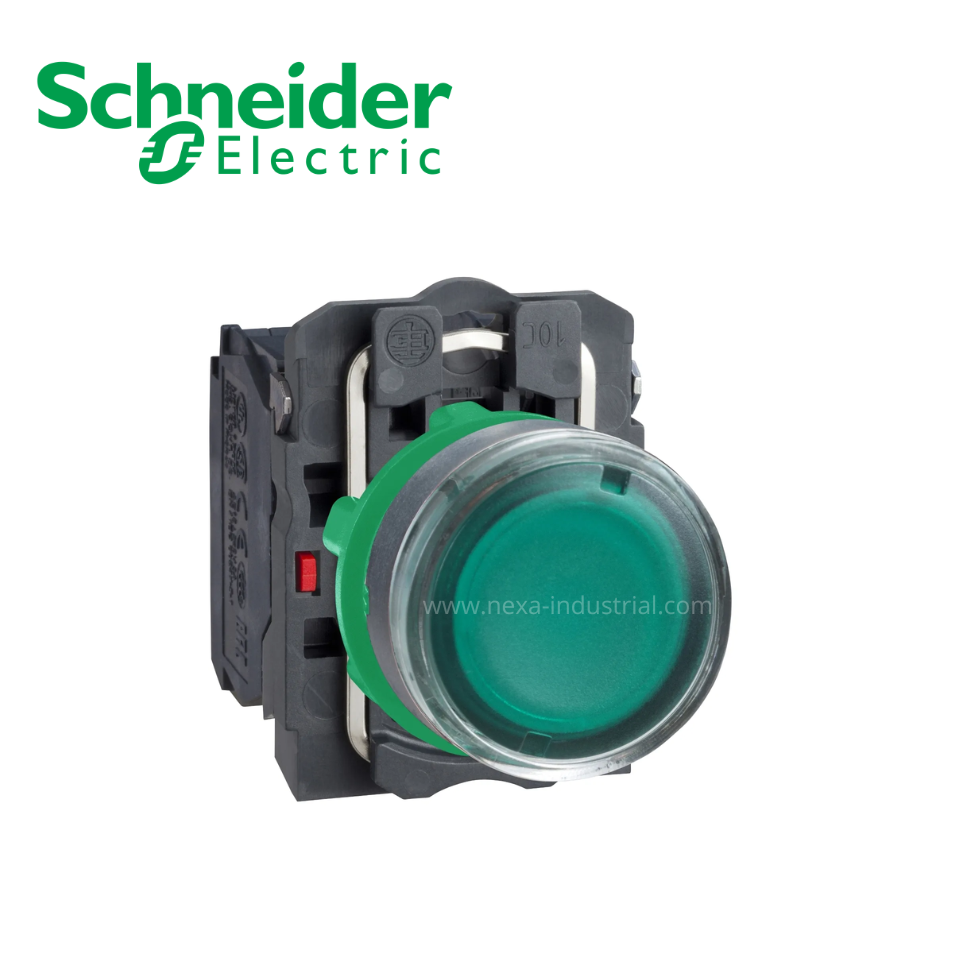 Pulsador luminoso rasante verde 240VAC/DC 2 posiciones fijas NA+NC SCHNEIDER ELECTRIC